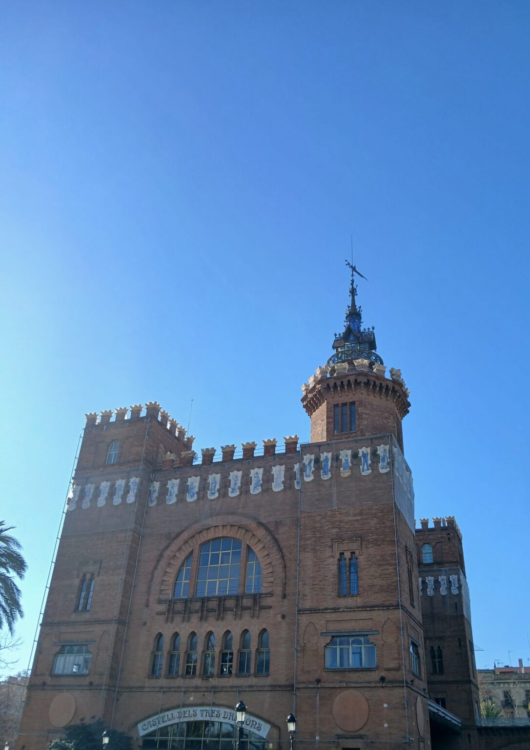 Copy of 20250122_113126