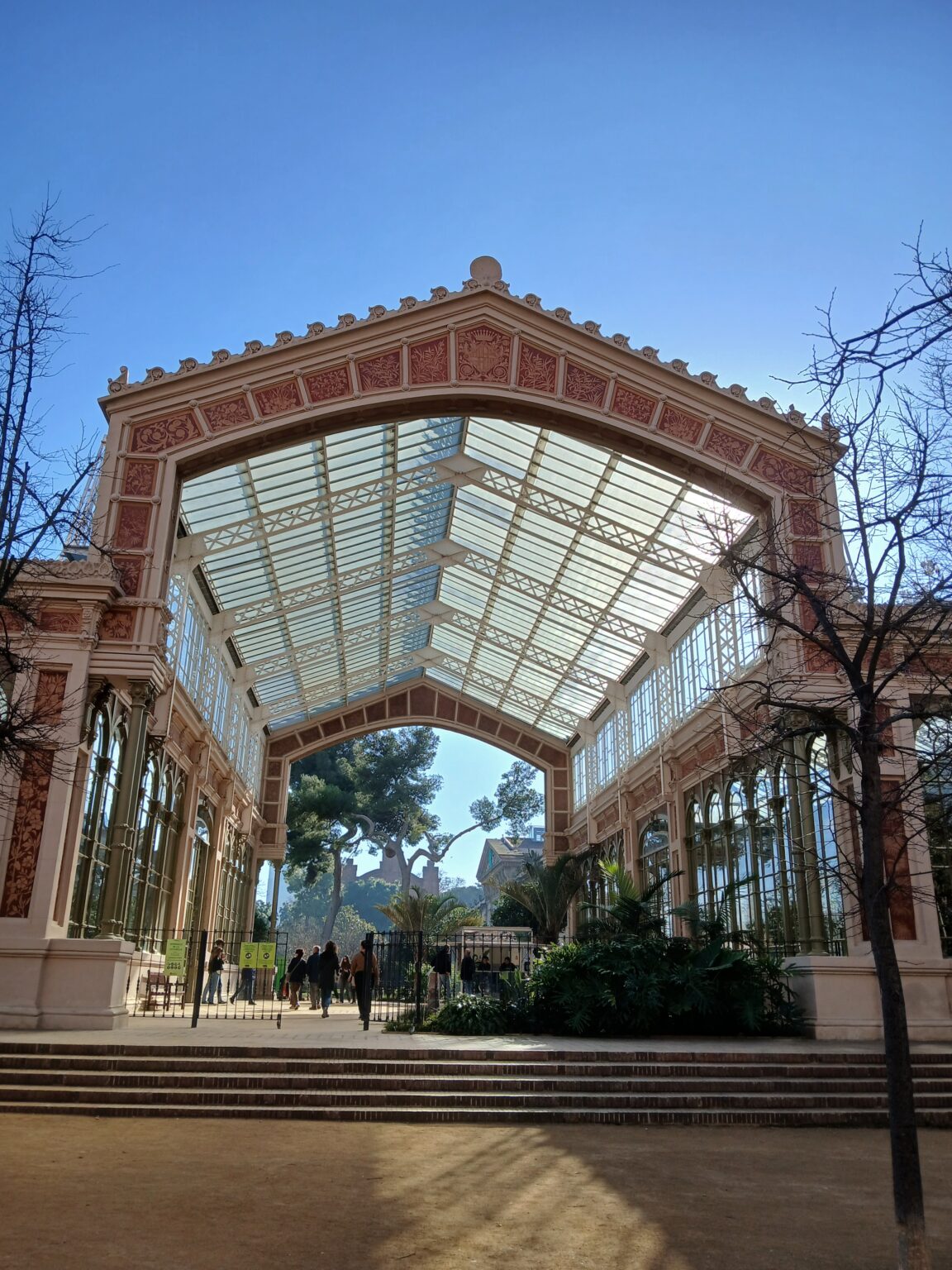 Copy of 20250122_113413