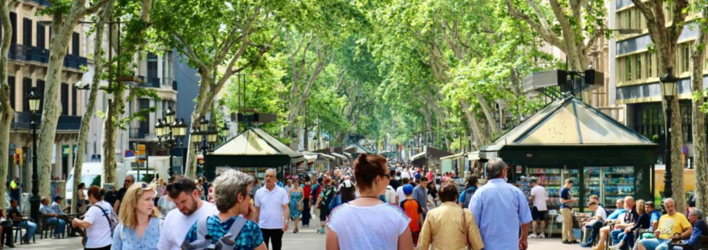 Leaves are in blossom above the famous Las Ramblas Boulevard in Barcelona