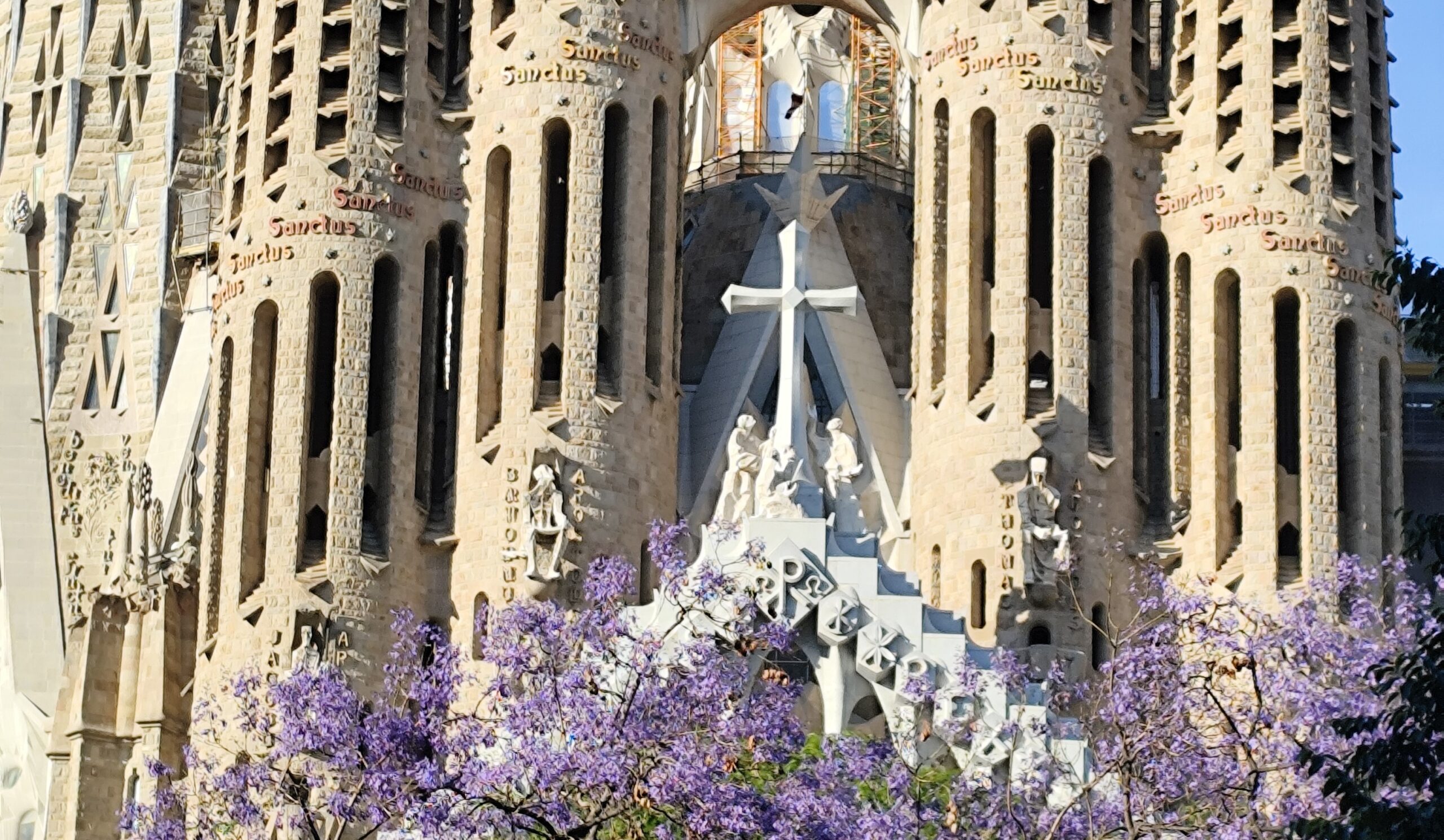 Sagrada Familia facade with blooming jacaranda trees, Gaudi modernist architecture in Barcelona